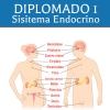  Diplomado 1 [Video-7]