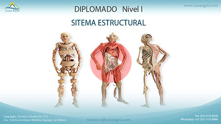 16-Sistema Estructural