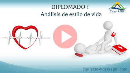 analisis estilovida