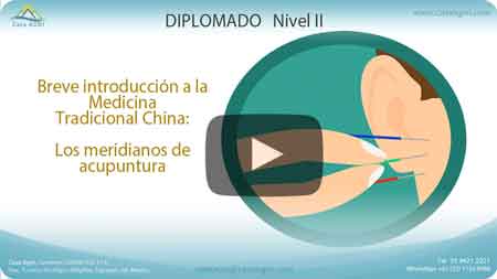 10-Sistema Nervioso y Protocolos