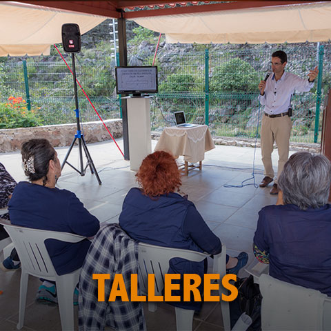 inicio talleres